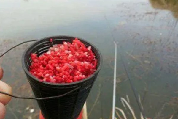 军鱼的垂钓时间，春秋季节是最佳时期