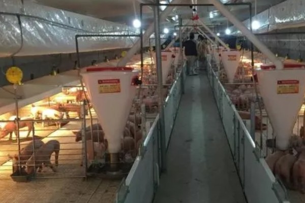未来养殖业的模式，有放养养殖、一体化养殖等