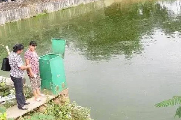 黄骨鱼养殖对水体的要求，喜欢清澈洁净的水质