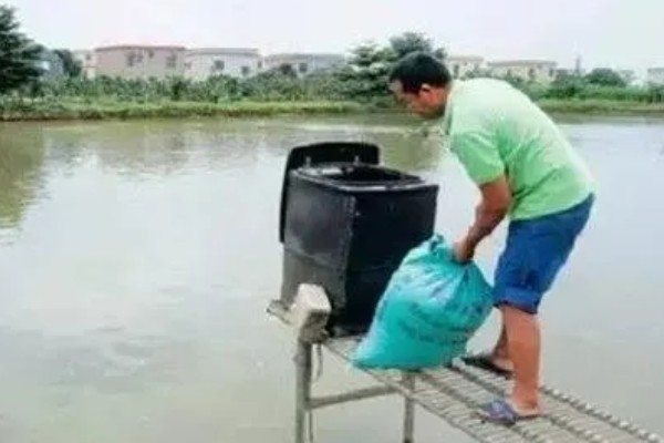 黄骨鱼养殖对水体的要求，喜欢清澈洁净的水质