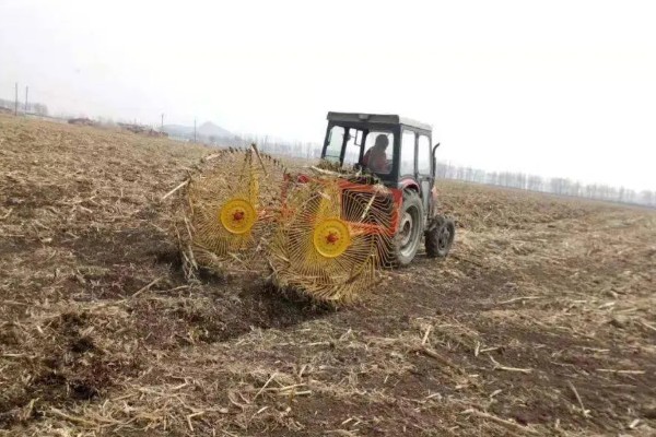 防治玉米粘虫用什么药，敌杀死、功夫乳油等药物具有防效