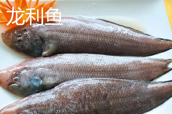 龙利鱼是鳕鱼吗，龙利鱼并不是鳕鱼