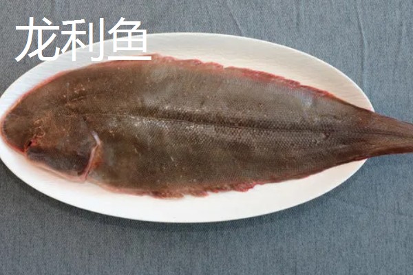 龙利鱼是鳕鱼吗，龙利鱼并不是鳕鱼