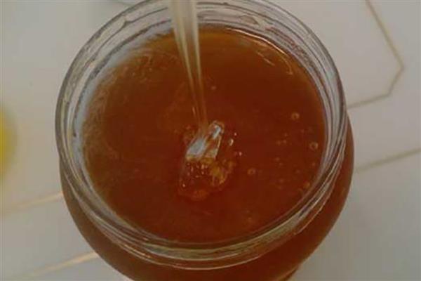 桉树蜜有没有毒，桉树蜜没有毒