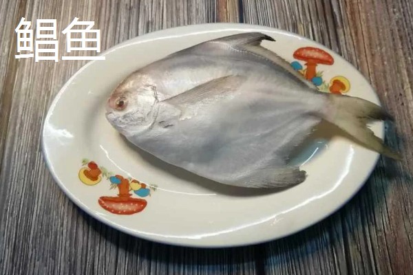 深海鱼的品种，有安康鱼、玉筋鱼等
