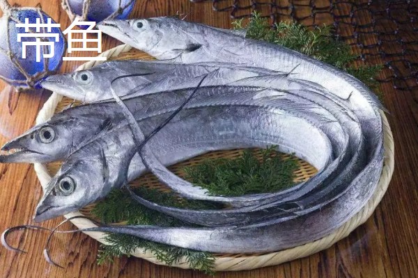 深海鱼的品种，有安康鱼、玉筋鱼等