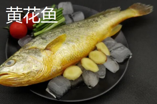 深海鱼的品种，有安康鱼、玉筋鱼等