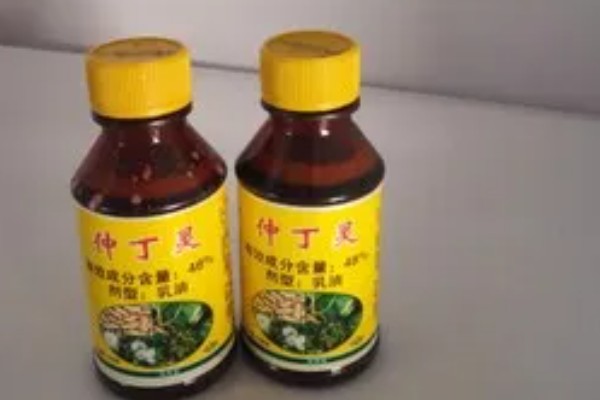 玉米地用过除草剂还能种菜吗，取决于下茬蔬菜是否有残留药害而定