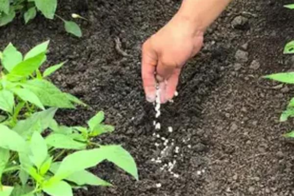 多久施一次复合肥，大概是一周使用一次