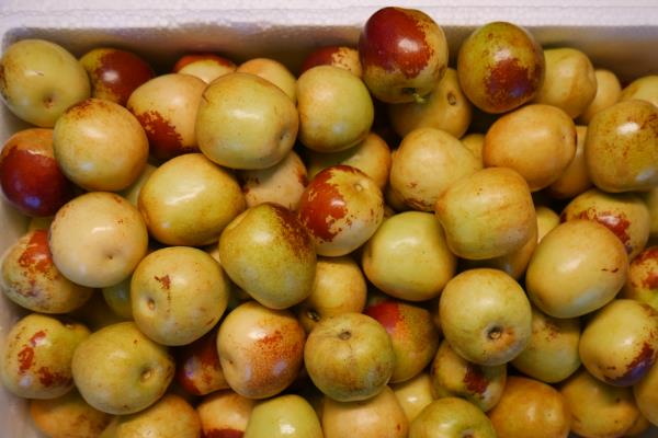 怎么储存冬枣，放在阴凉处保存即可