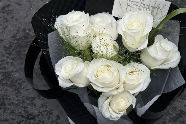传奇红玫瑰的花语是什么，寓意激情、热烈的爱等