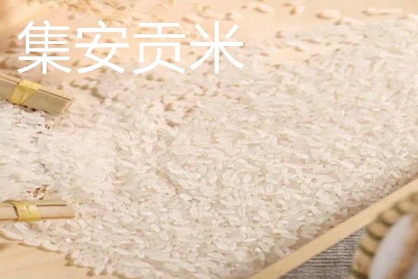 吉林通化的特产，黄米打糕有很高的知名度