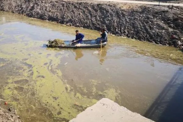 养鱼怎么用尿素肥水，每周一次每次使用5公斤