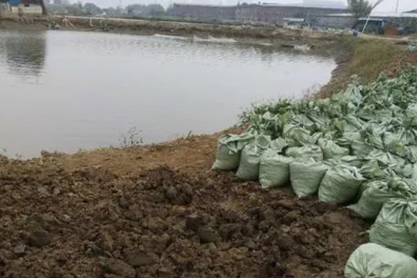 养鱼怎么用尿素肥水，每周一次每次使用5公斤