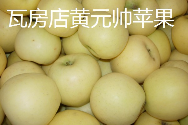 辽宁瓦房店市的特产，有黄元帅苹果、虾皮等