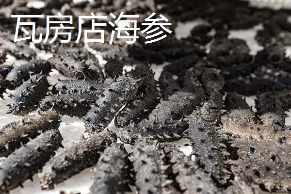 辽宁瓦房店市的特产，有黄元帅苹果、虾皮等