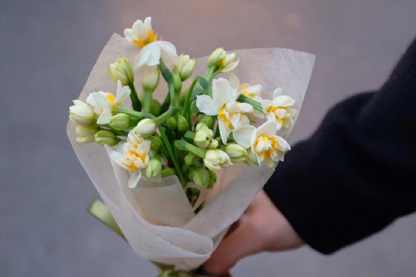 水仙花有什么种类，常见蝴蝶水仙、丁香水仙等品种
