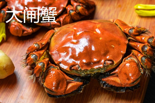 为什么螃蟹横着走，它们是依靠地磁场来判断方向