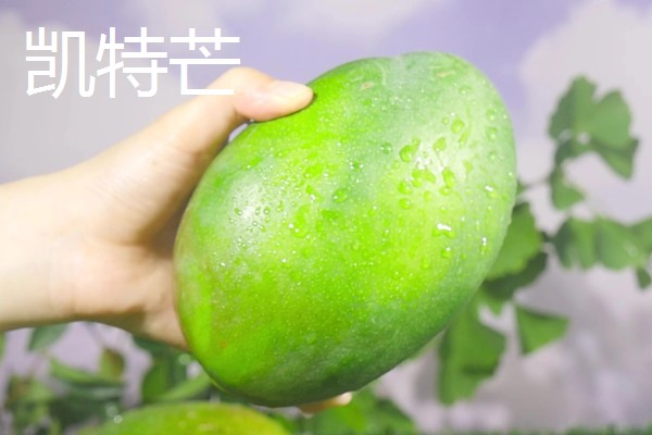 金煌芒如何判断生熟，可观察颜色、捏软硬等
