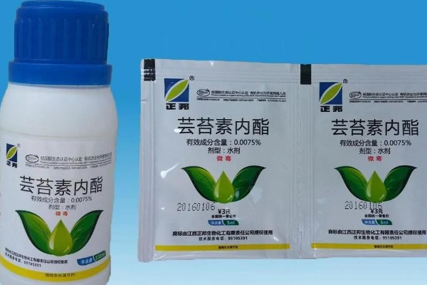 芸苔素内酯的作用，可促进果实膨大