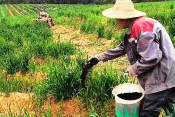 根据作物搭配肥料的方法，耐酸作物可以使用酸性肥料