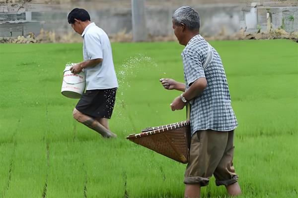 根据作物搭配肥料的方法，耐酸作物可以使用酸性肥料