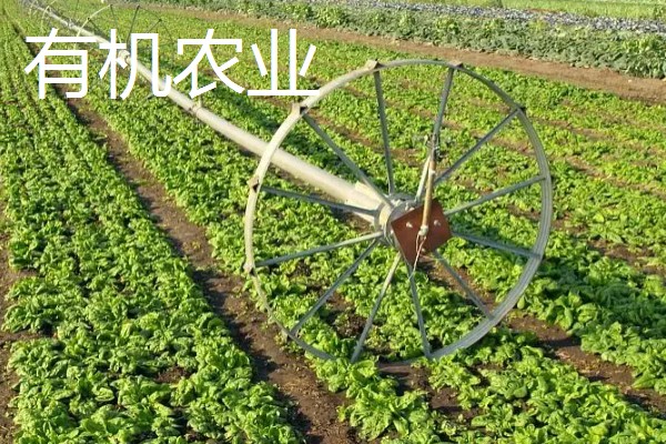 农业生产的种类，有生态农业、立体农业等