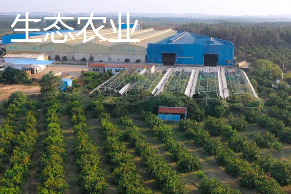 农业生产的种类，有生态农业、立体农业等
