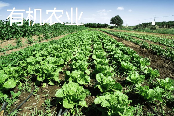 农业生产的种类，有生态农业、立体农业等