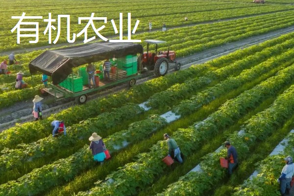 农业生产的种类，有生态农业、立体农业等