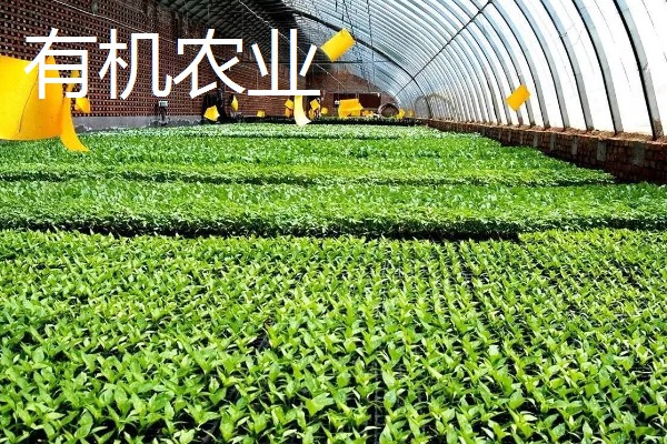 农业生产的种类，有生态农业、立体农业等