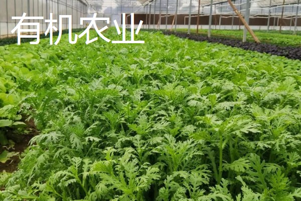 农业生产的种类，有生态农业、立体农业等
