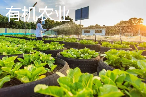 农业生产的种类，有生态农业、立体农业等