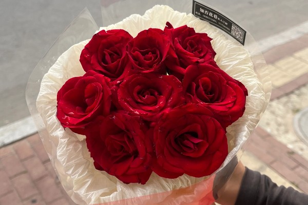8朵红玫瑰的花语，寓意感激、关心和鼓励等