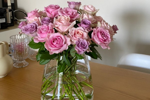 8朵红玫瑰的花语，寓意感激、关心和鼓励等