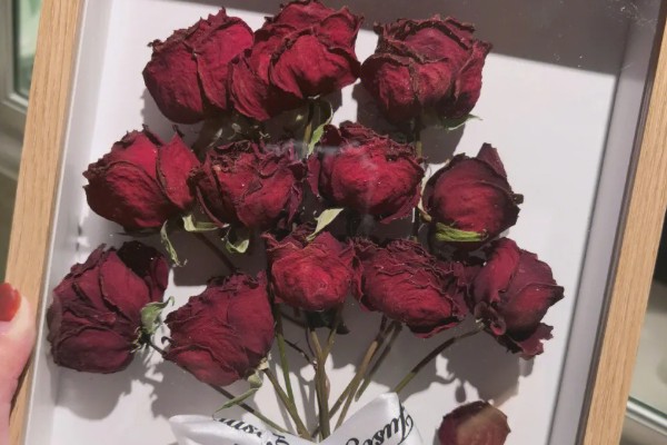 8朵红玫瑰的花语，寓意感激、关心和鼓励等