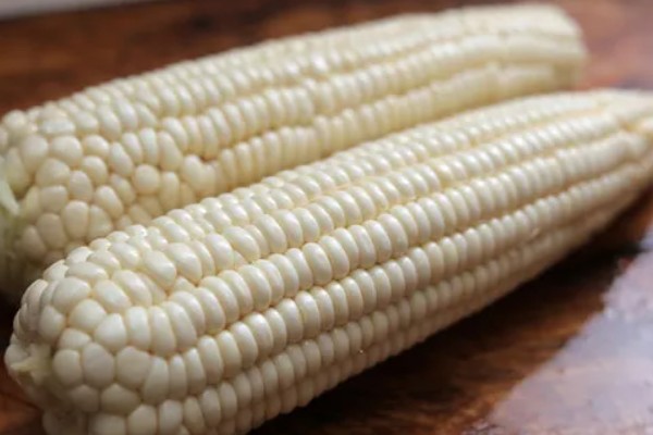 我国的糯玉米的产地，在云南省分布最广