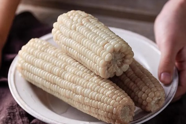 我国的糯玉米的产地，在云南省分布最广