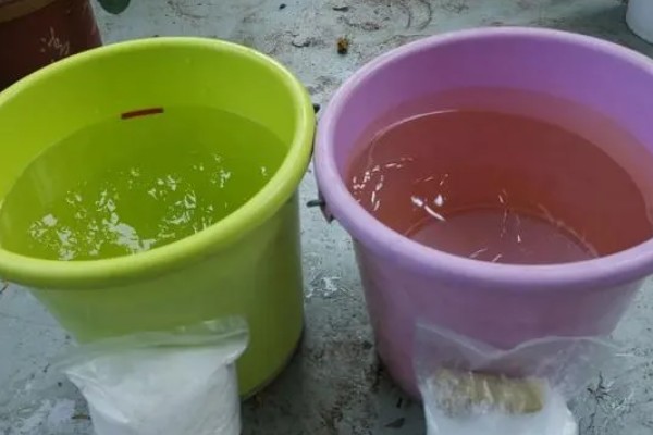 怎么配水培营养液，可使用高效花肥