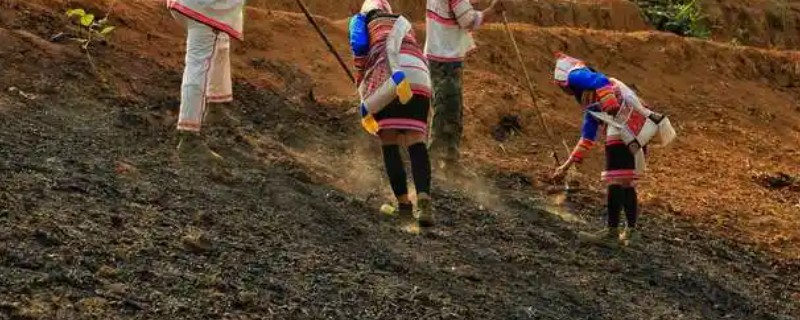 原始农业有什么标志，刀耕火种生产工具以石器为主