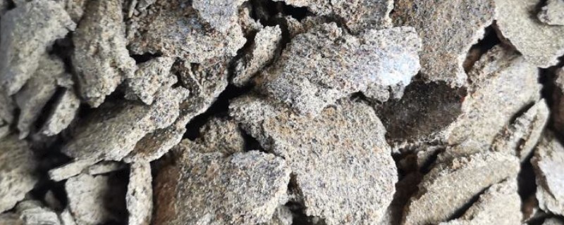 菜籽饼能直接撒在土里面作肥料吗，不能直接撒在土里做肥料