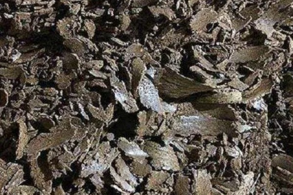 菜籽饼能直接撒在土里面作肥料吗，不能直接撒在土里做肥料