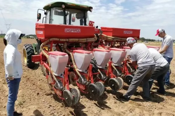 春玉米的种植时间，东北地区大约在4月中旬种植