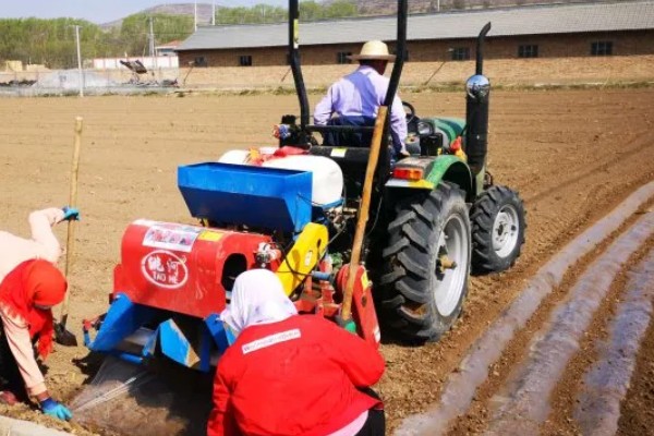 春玉米的种植时间，东北地区大约在4月中旬种植