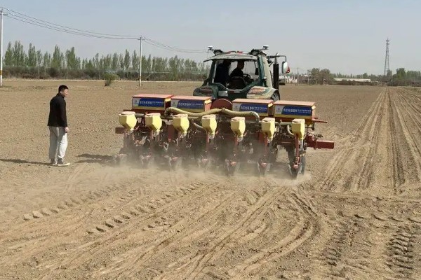 春玉米的种植时间，东北地区大约在4月中旬种植