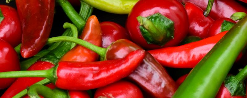 辣椒什么时候施肥，第一次追肥在植株成活后