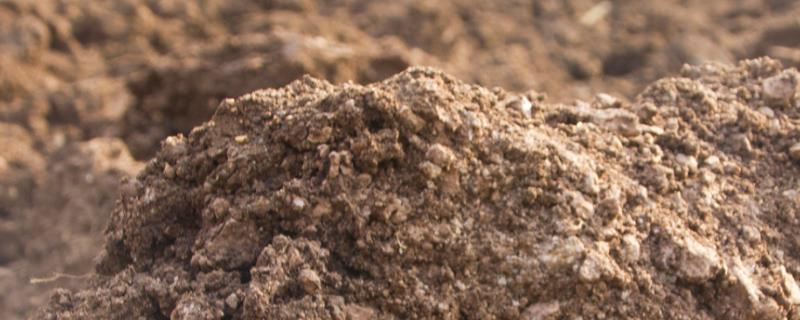 如何配制营养土，常用以下3种方式