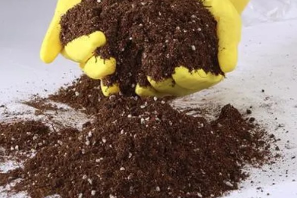 如何配制营养土，常用以下3种方式