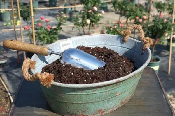 如何配制营养土，常用以下3种方式