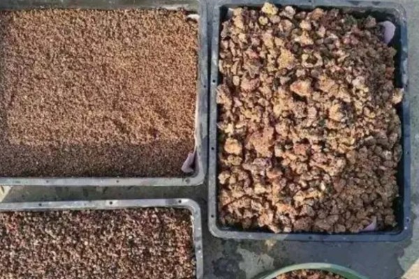 如何配制营养土，常用以下3种方式